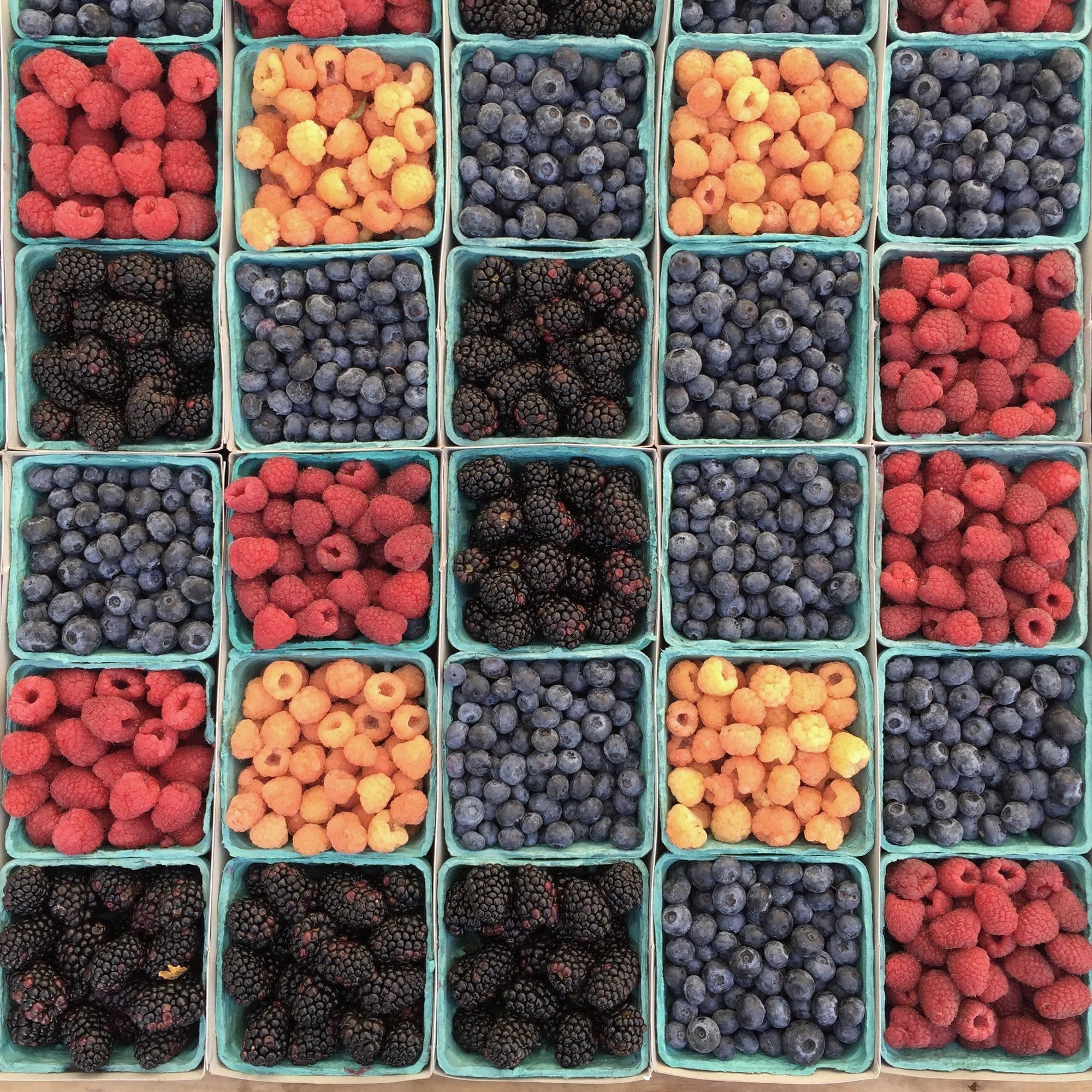 berries1