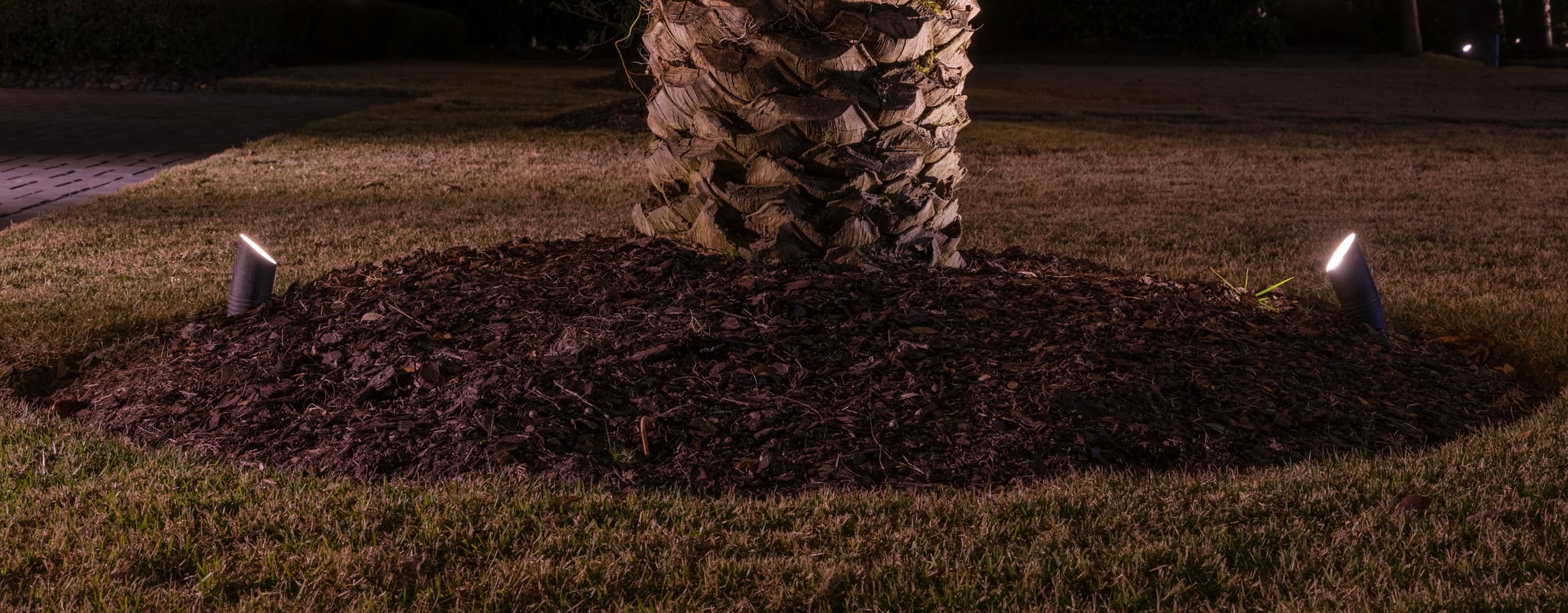 Single-Point vs. Multi-Point LED Lighting